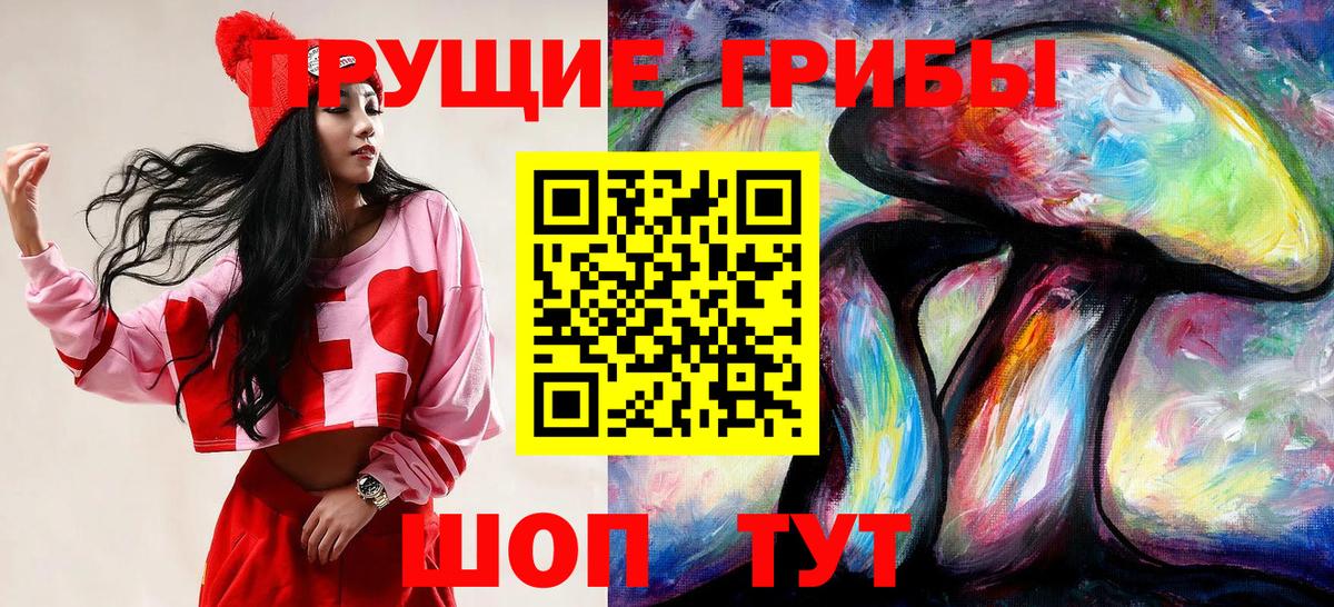 Усть-Кут  Псилоцибиновые грибы Psilocybe  где можно купить наркотик  Вход с VPN 
